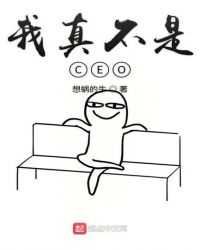 治CEO